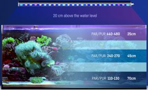 Reef Factory Reef flare Bar 90 Reef Factory Reef flare Bar 90