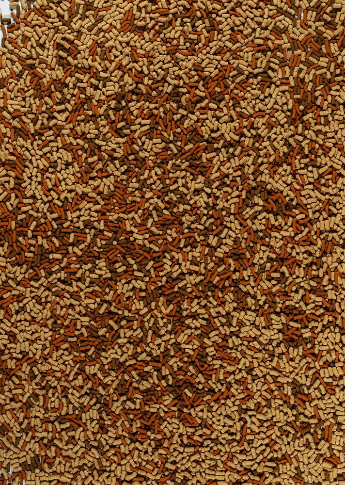 csm_T803617_9631_50b014259c (1)