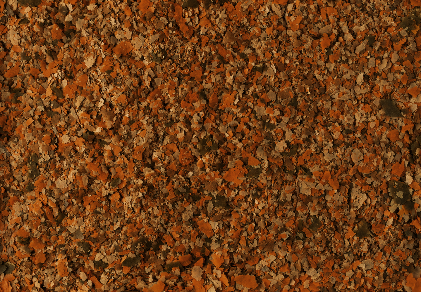 csm_T803688_9631_27b38773db (1)