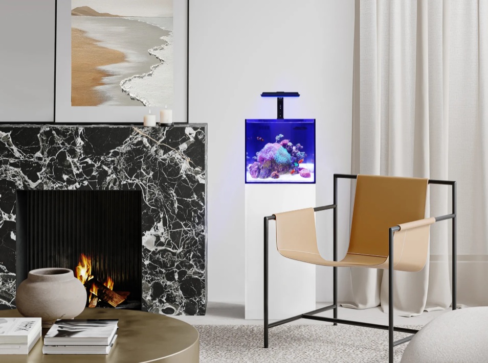 ריאריאטיארשק